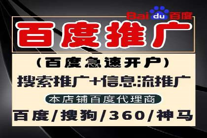 百度竞价公司与品牌合作：双赢的案例分析